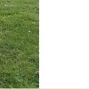 Ігор Бойко фотография #36 (источник - https://vk.com/id37889787)