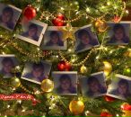 Фотография Сметаниной Ольги