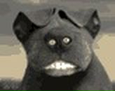 Фотография Верякова Алексея