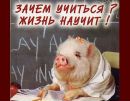 Фотография Симон Людмилы