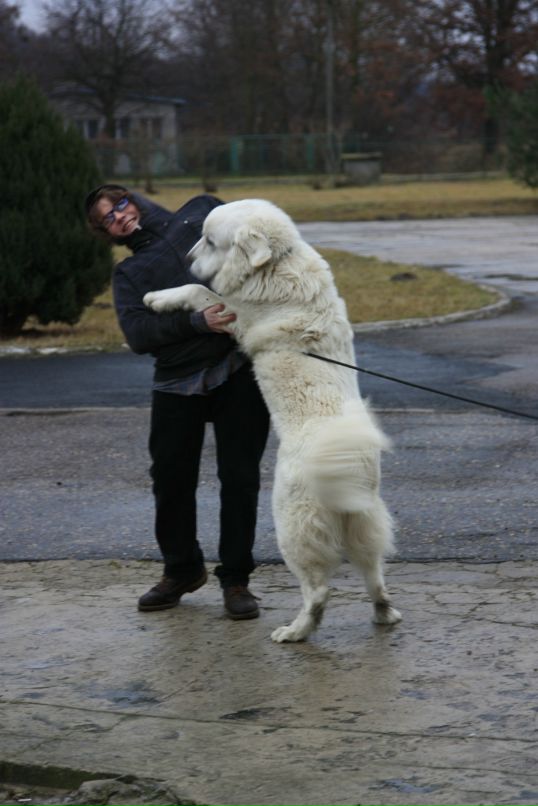 Иван Лыков фотография #24