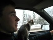 Антон Чувычкин фотография #30 (источник - https://vk.com/id650728)