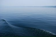 Фотография Бочкун Ирины