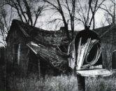 Фотография Горохова Коли