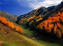 茹 贾 фотография #7 (источник - https://vk.com/id148943471)