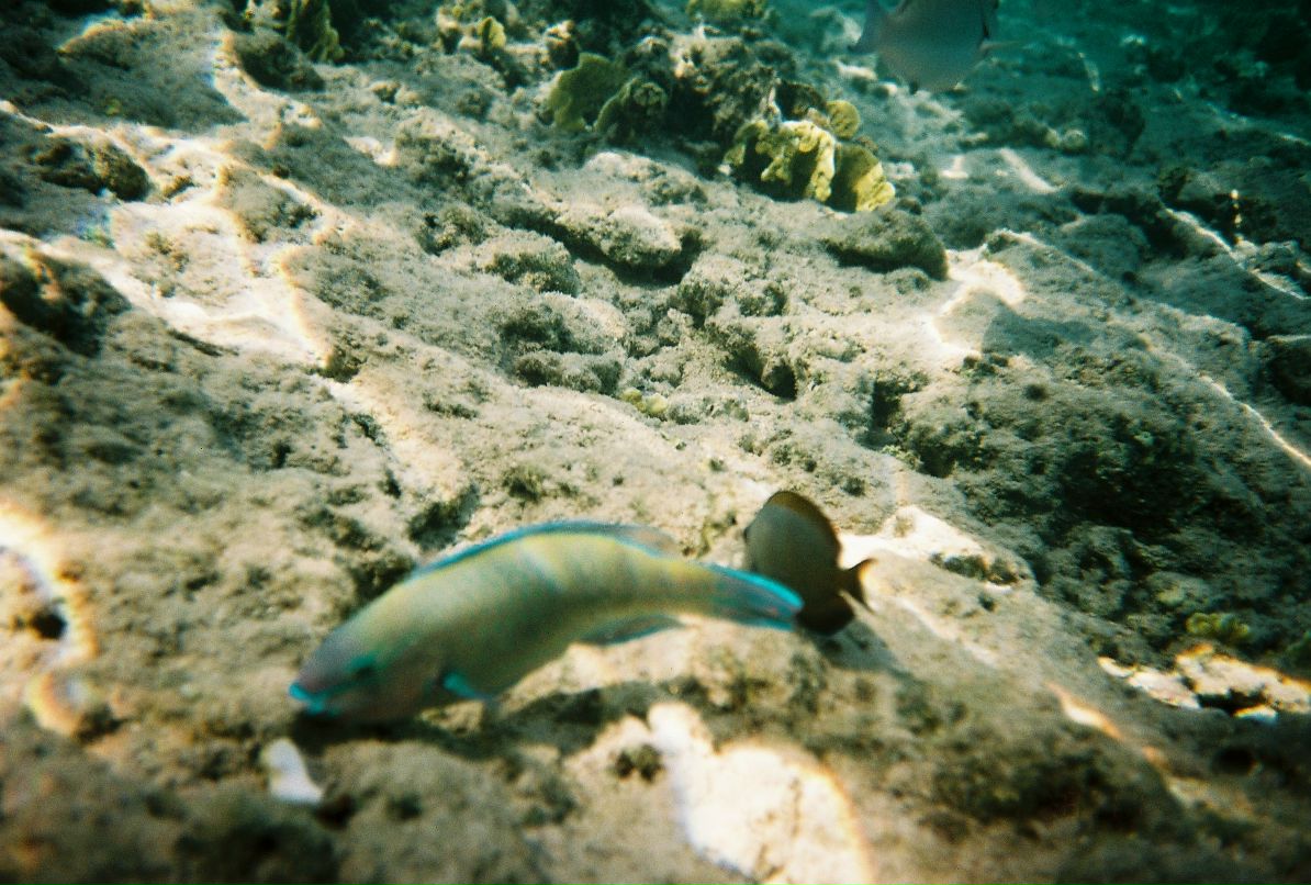 Александр Кадыкеев фотография #48