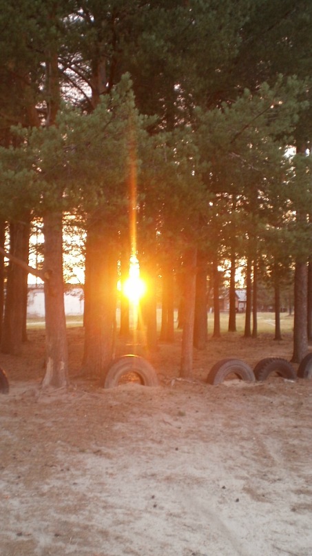 Саша Шляхов фотография #5