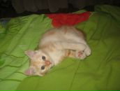 Фотография Красавцевой Галентины