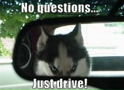 Оля Ткаченко фотография #34 (источник - https://vk.com/id1748957)