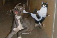 Фотография Хлоповой Ксюши