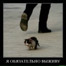 Діана Агаркова фотография #35 (источник - https://vk.com/id169648104)
