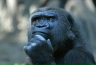 Иннька Куценко фотография #40 (источник - https://vk.com/id19431136)