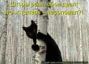 Світлана Блашко фотография #20 (источник - https://vk.com/id50099462)