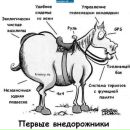 Лідія Солонінова фотография #11 (источник - https://vk.com/id87523610)