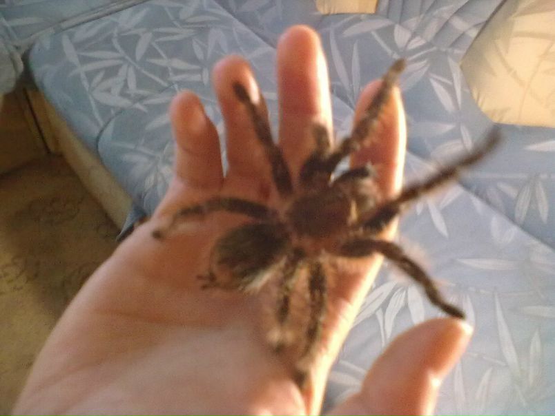 №2, Александр Трушников №2, Александр Трушников