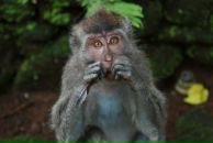 Катя Мищенко фотография #45 (источник - https://vk.com/id19178)