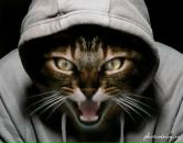 Дмитрий Маштаков фотография #46 (источник - https://vk.com/id85672543)