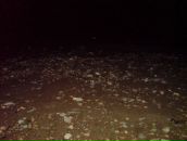 Фотография Maklaud Aleksey