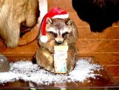 Иван Ковчегов фотография #25 (источник - https://vk.com/id430968)