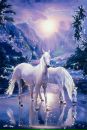 Ігор Лазорко фотография #18 (источник - https://vk.com/id162618389)