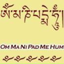 Фотография Лопухов Николай