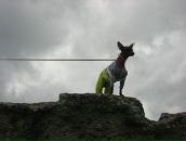 Олексій Підлубний фотография #25 (источник - https://vk.com/id13157390)