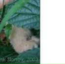 Лєна Ляшкевич фотография #47 (источник - https://vk.com/id57337092)