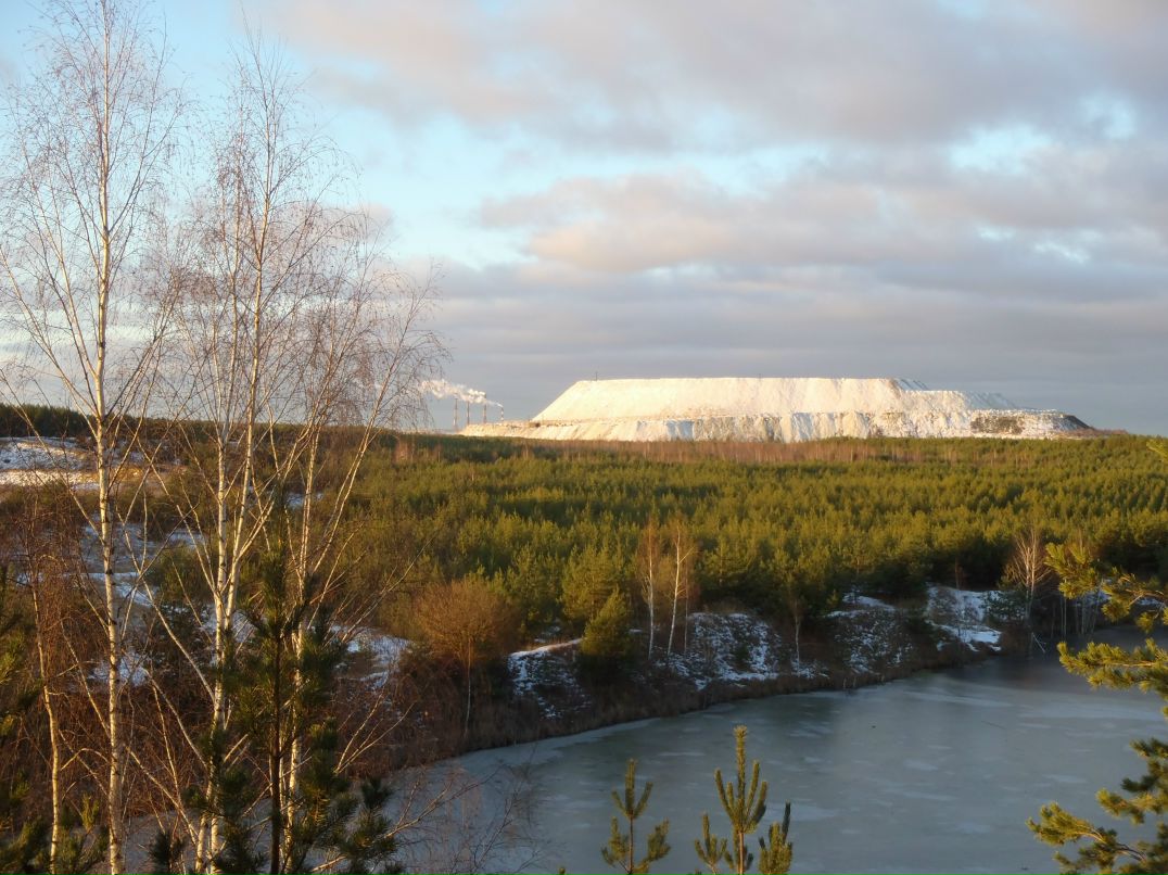 Игорь Эльман фотография #48