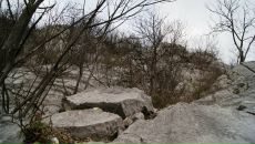 Максим Горбулин фотография #24 (источник - https://vk.com/id134638)