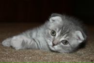 Фотография Хавренков Сергей