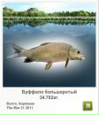 Сєрий Матвійшин фотография #46 (источник - https://vk.com/id111466338)