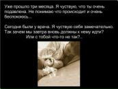 Віктор Попович фотография #47 (источник - https://vk.com/id99044358)