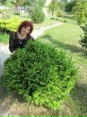 Ірина Валюх(коник) фотография #8 (источник - https://vk.com/id121413391)