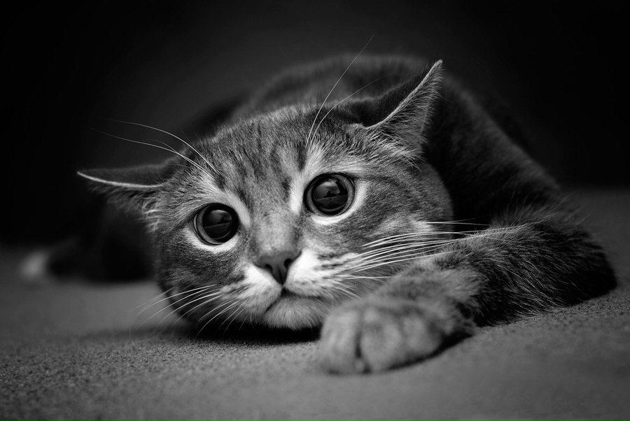 Серега Боярсков фотография #17