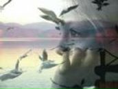 Вікторія Трачук фотография #32 (источник - https://vk.com/id57632043)