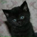 Фотография Луценко Татьяны