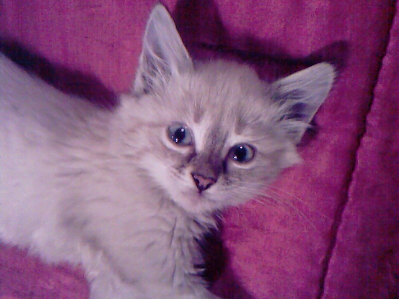 Софья Федотова фотография #42