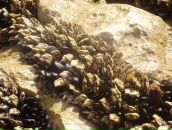 Юрій Лазаренко фотография #43 (источник - https://vk.com/id57713871)