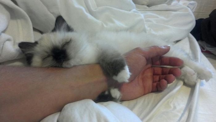 Вел Вел фотография #15