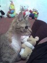 Сергей Костенко фотография #14 (источник - https://vk.com/id3938493)