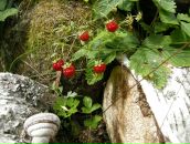 Фотография Захарова Юлия