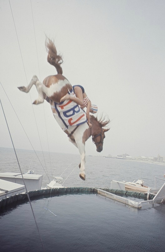 Илья Конивец фотография #34