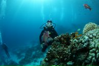 Фотография Швецовой Марии