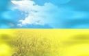 Фотография Литвина Ігора