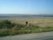 Дима Бродяга фотография #41 (источник - https://vk.com/id2209219)