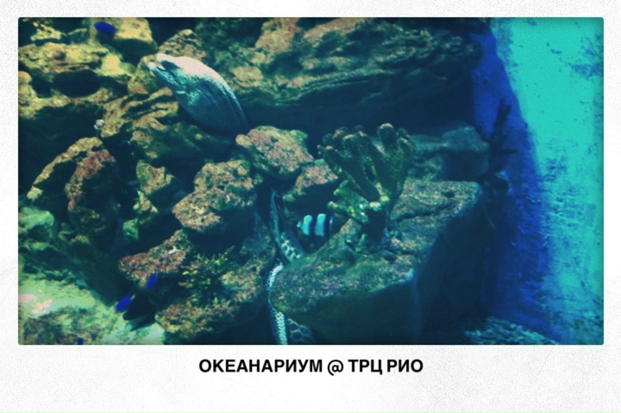 Антон Пейтер фотография #36