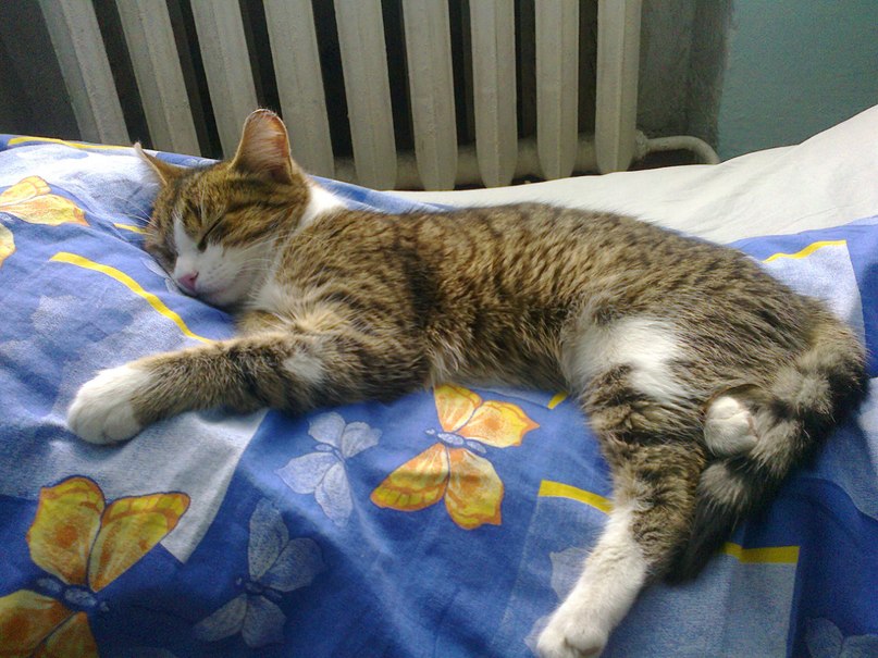 Дмитрий Халимов фотография #32