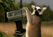 Андрій Горінець фотография #22 (источник - https://vk.com/id30203235)