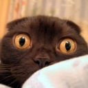 Діана Філеп фотография #26 (источник - https://vk.com/id59832299)