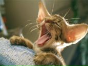 Фотография Ивановой Елены